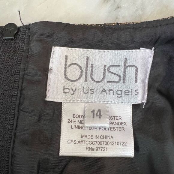 BLUSH BY US ANGELS Kids' Metallic Butterfly Brocade Party Dress size 14 NWOT - Picture 6 of 9